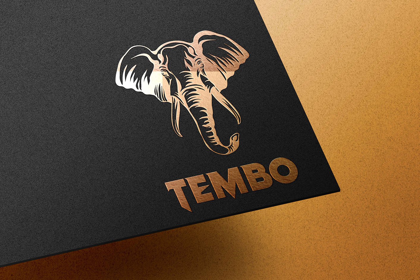 Logo Design